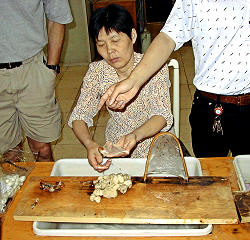 washing silkworm cocoons